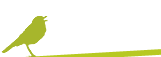 frau Vogel - Webdesign